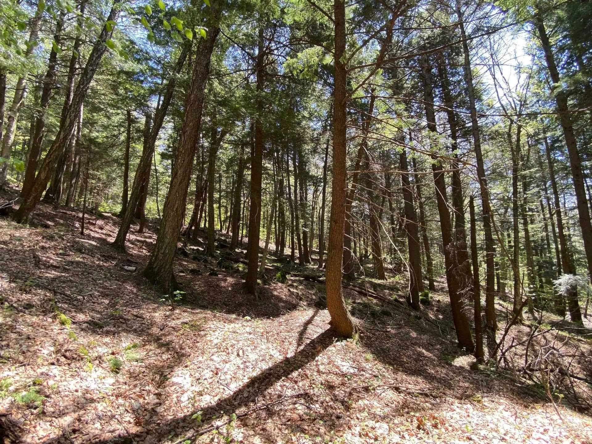 00 East Road Tinmouth VT 05773