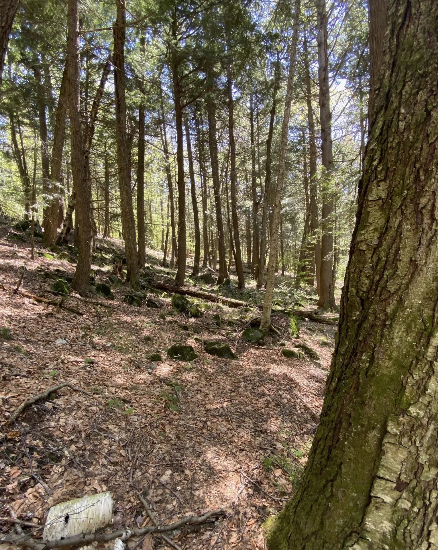 00 East Road Tinmouth VT 05773