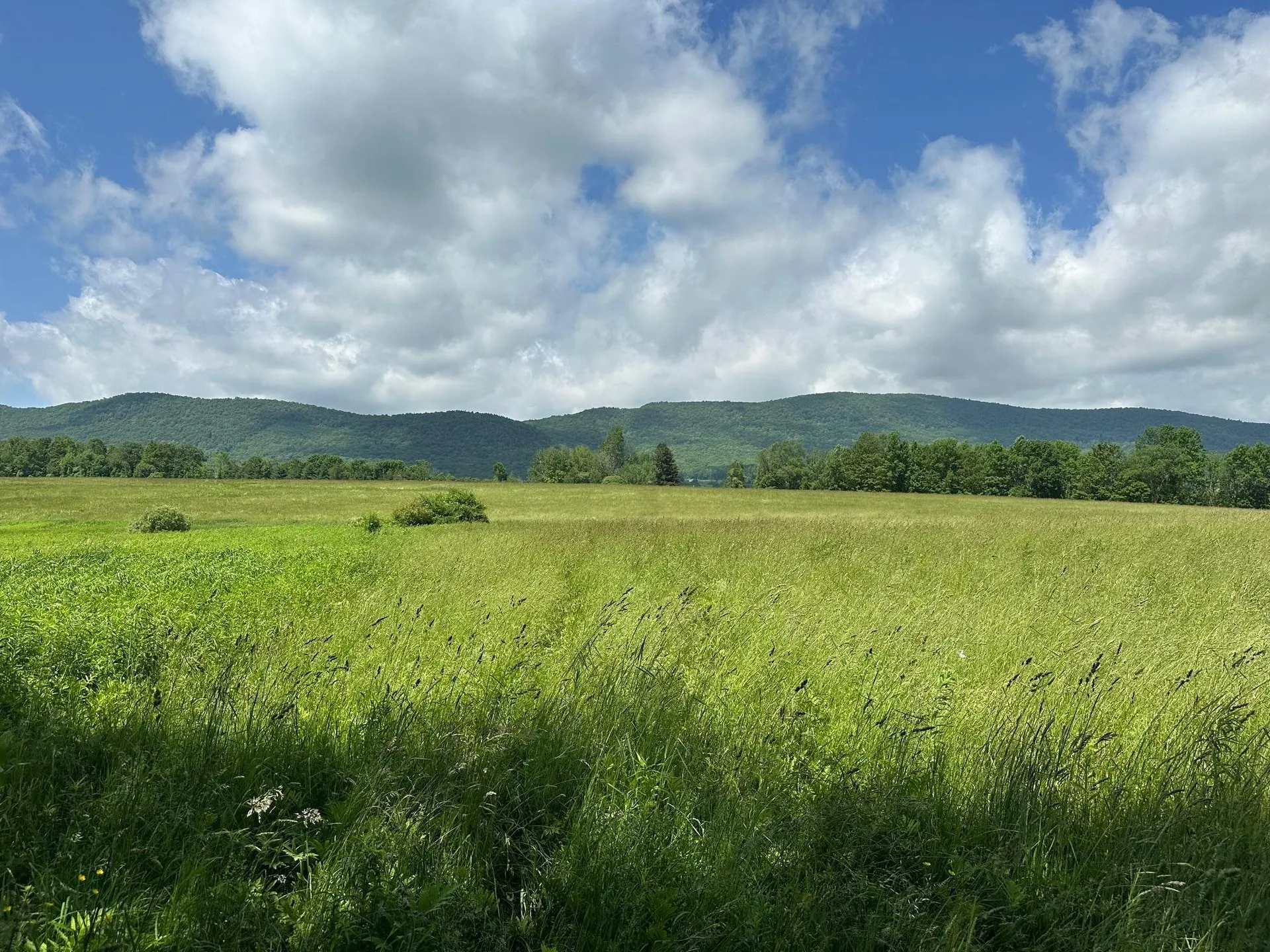 00 East Road Tinmouth VT 05773