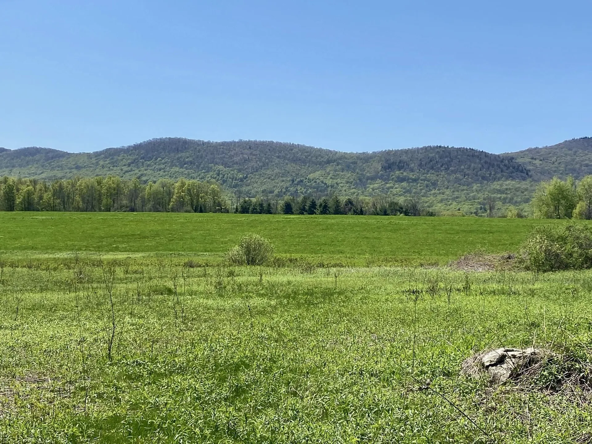 00 East Road Tinmouth VT 05773