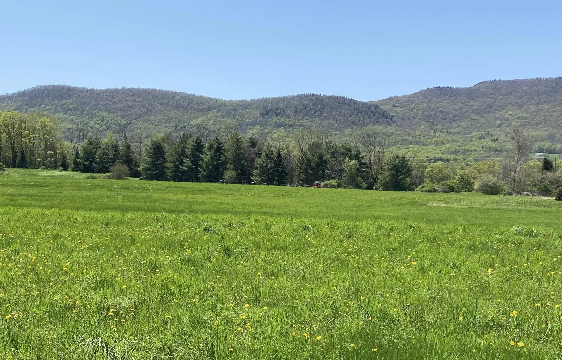 00 East Road Tinmouth VT 05773