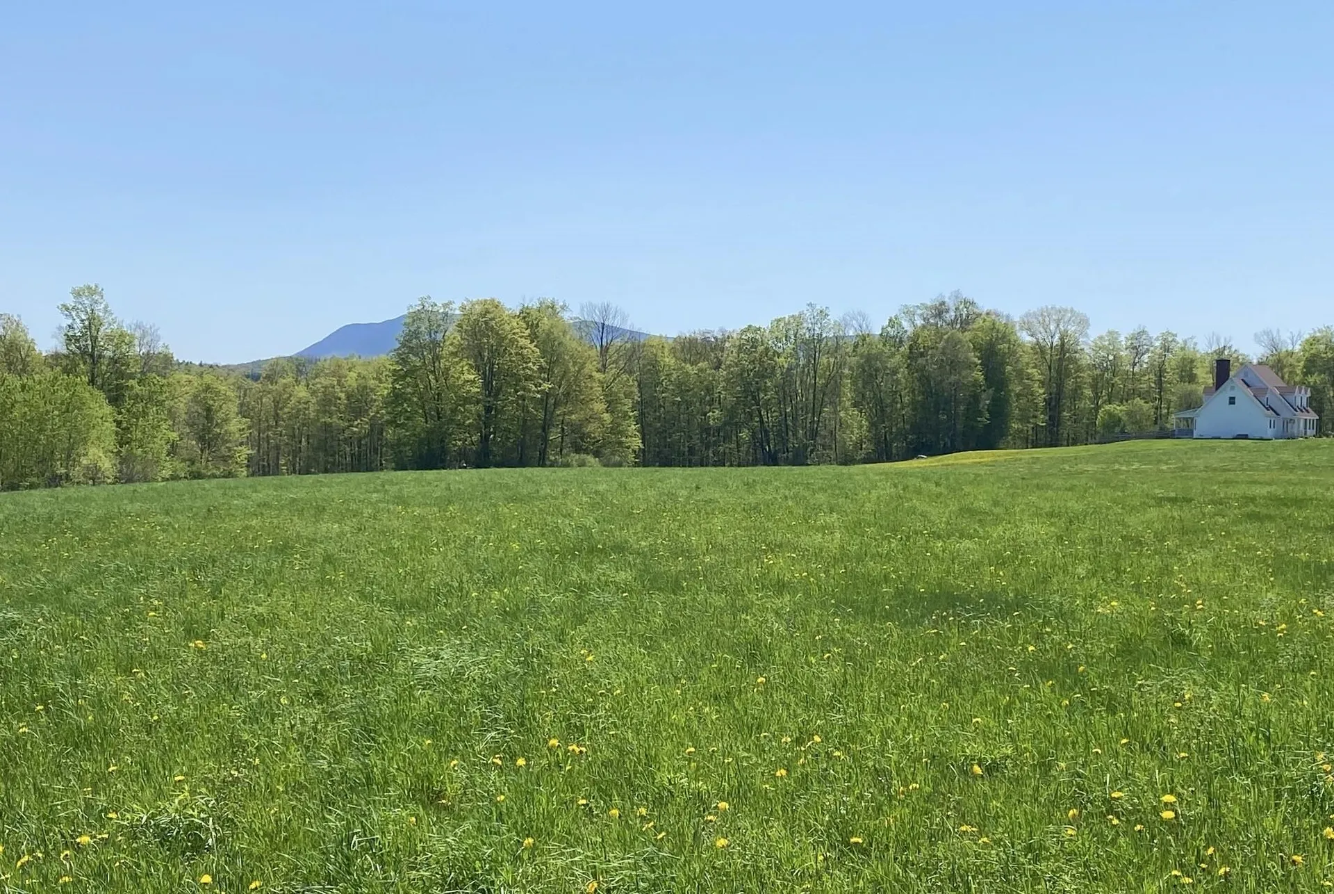 00 East Road Tinmouth VT 05773