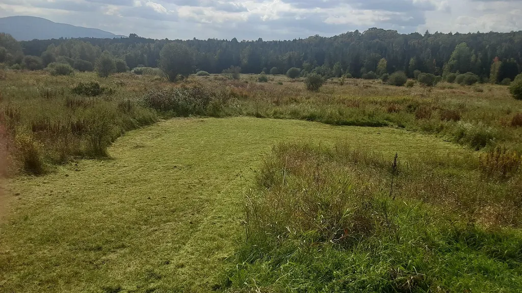 00 West Hill Road Hardwick VT 05843