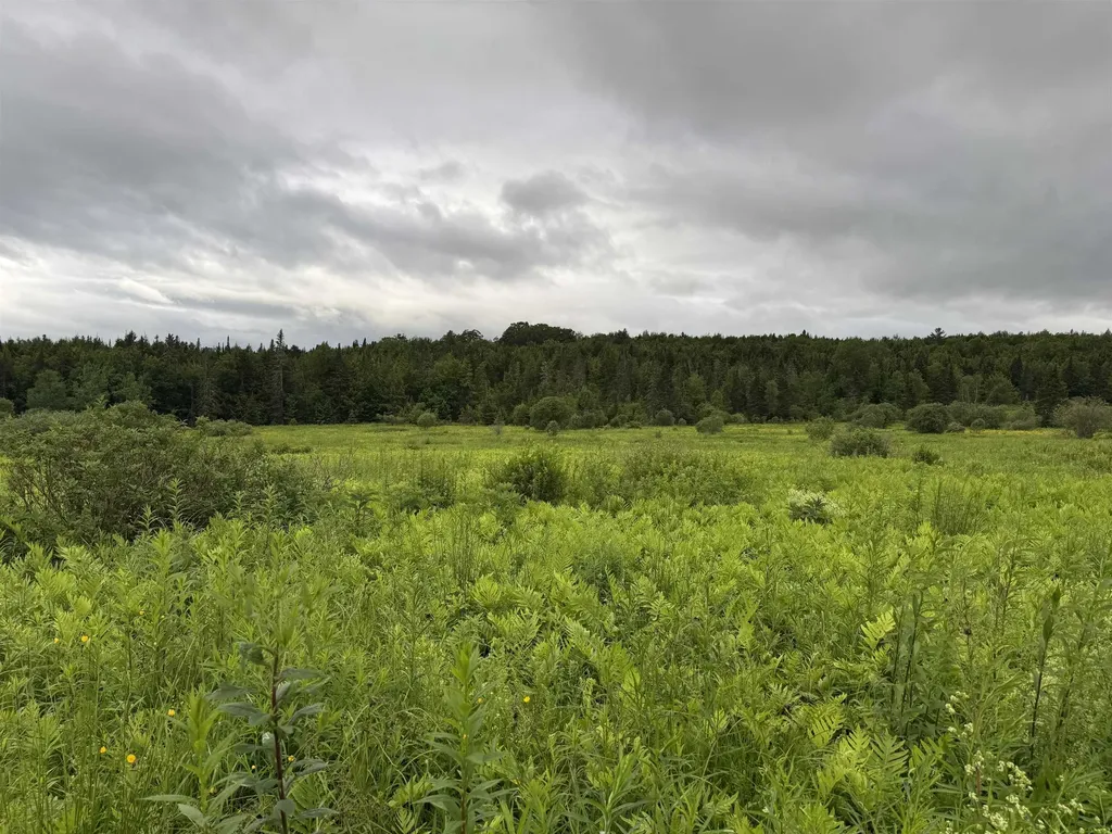 00 West Hill Road Hardwick VT 05843