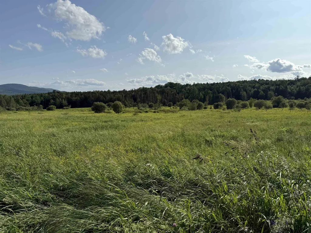 00 West Hill Road Hardwick VT 05843