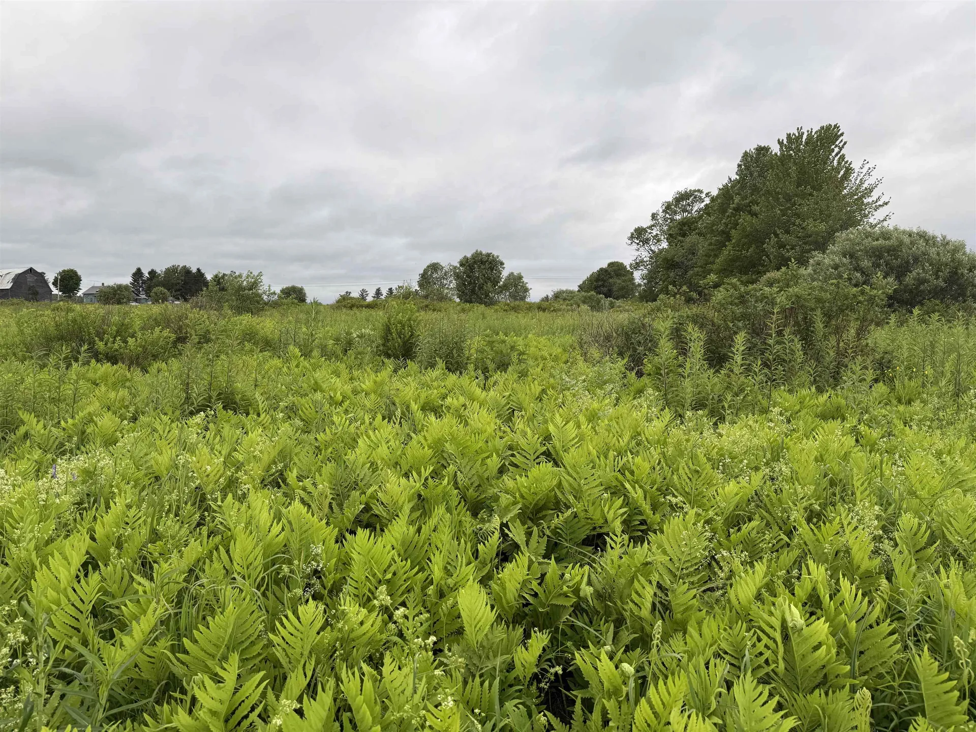 00 West Hill Road Hardwick VT 05843