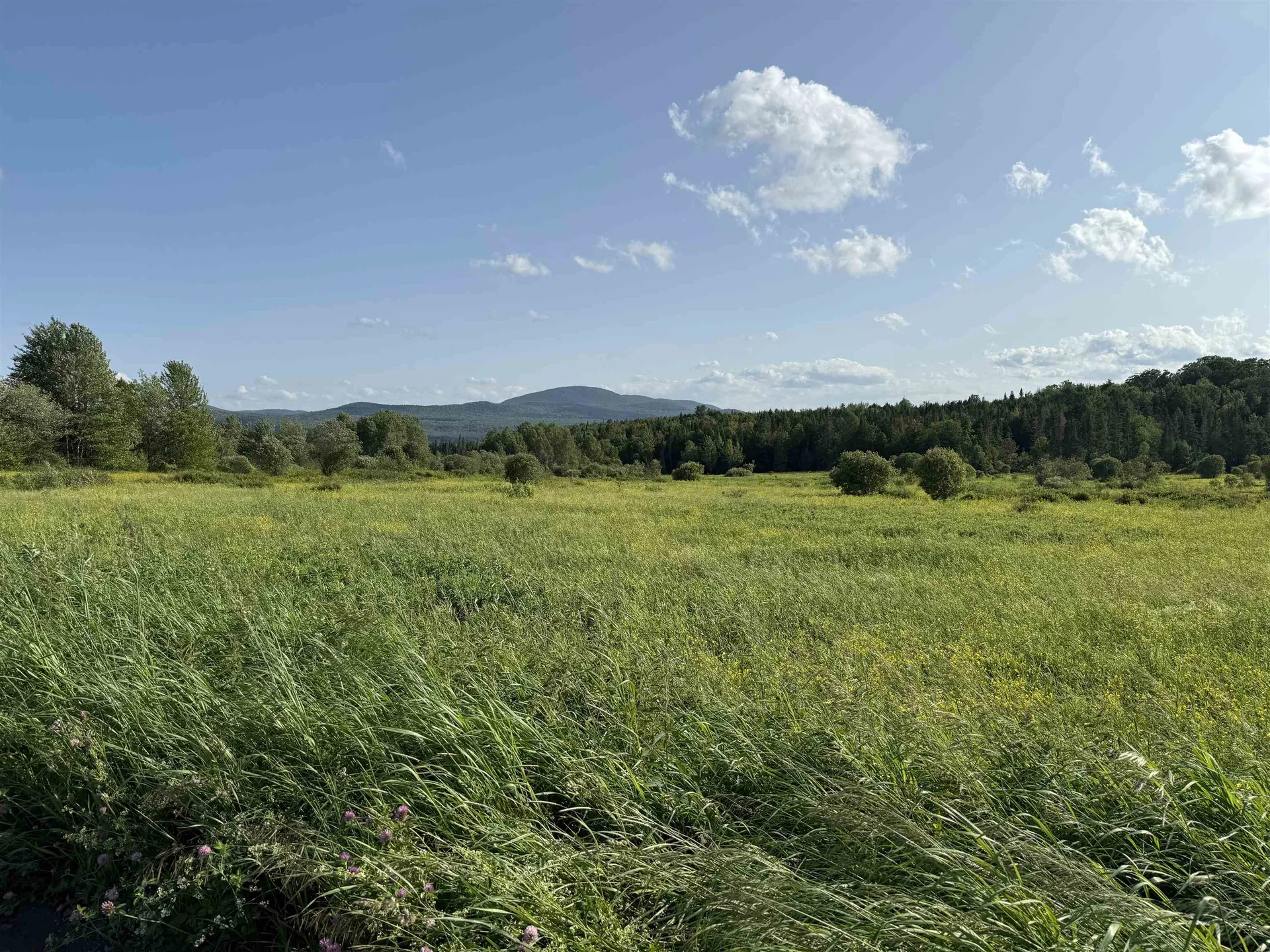 00 West Hill Road Hardwick VT 05843