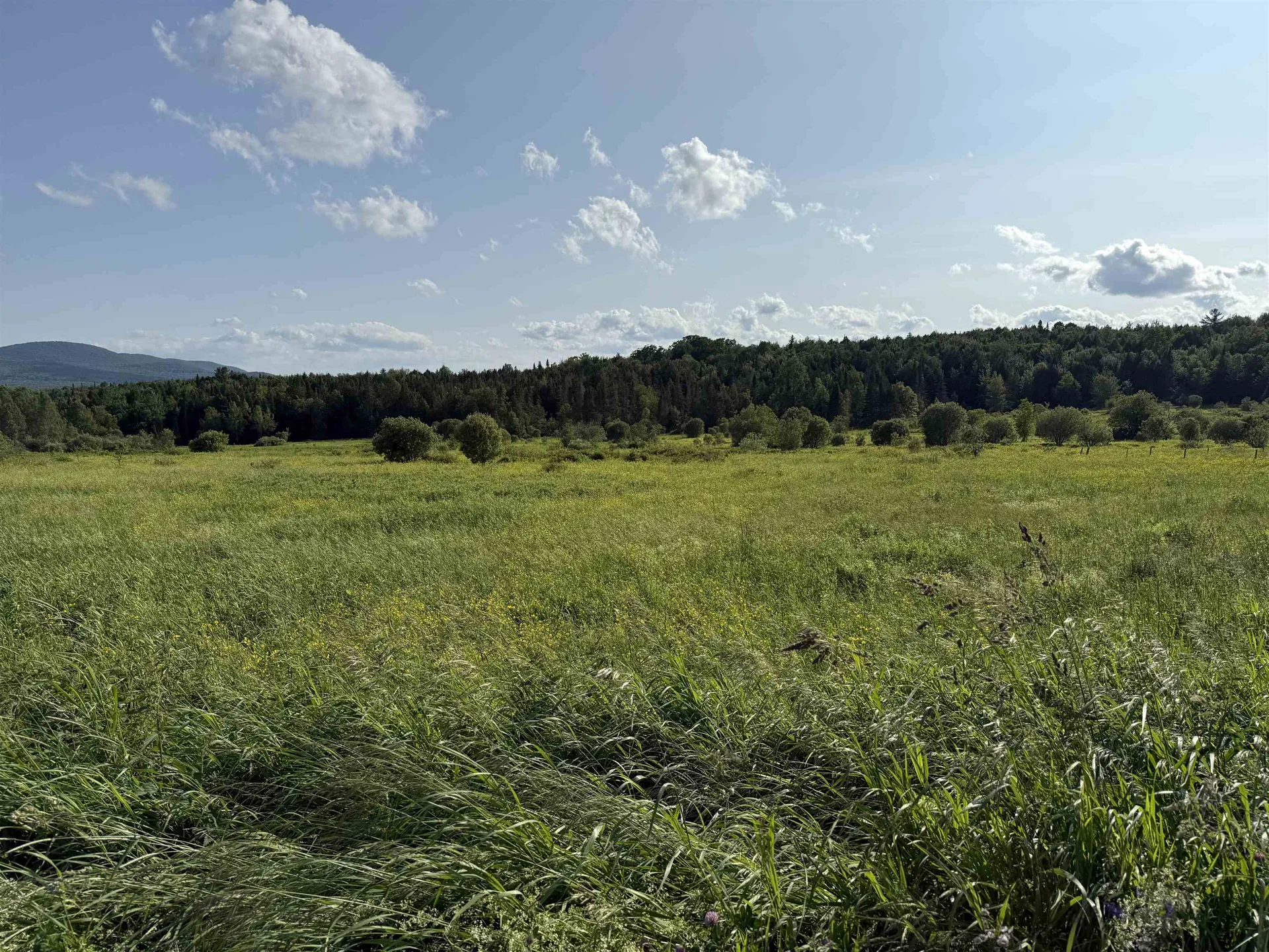 00 West Hill Road Hardwick VT 05843