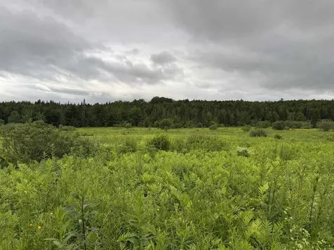 00 West Hill Road Hardwick VT 05843