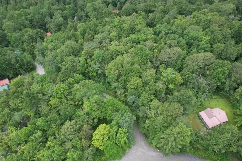 00 Susan Lynn Lane Wardsboro VT 05355