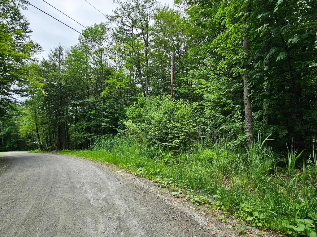 00 Susan Lynn Lane Wardsboro VT 05355