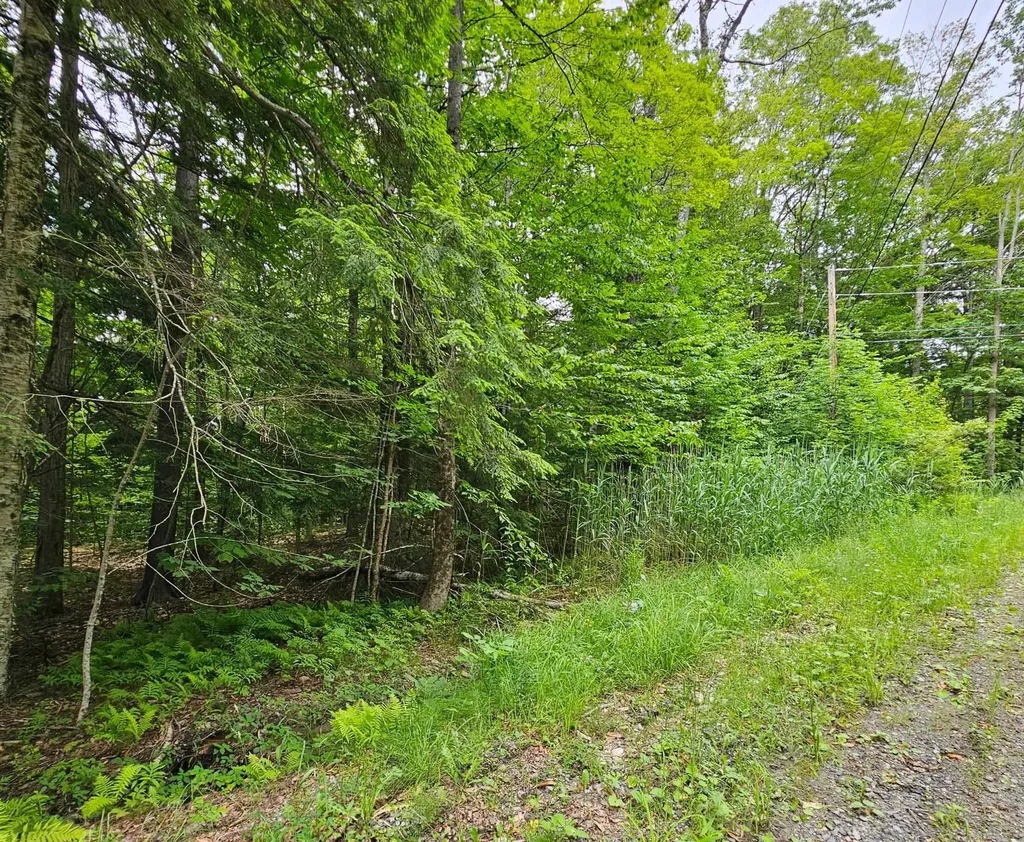 00 Susan Lynn Lane Wardsboro VT 05355