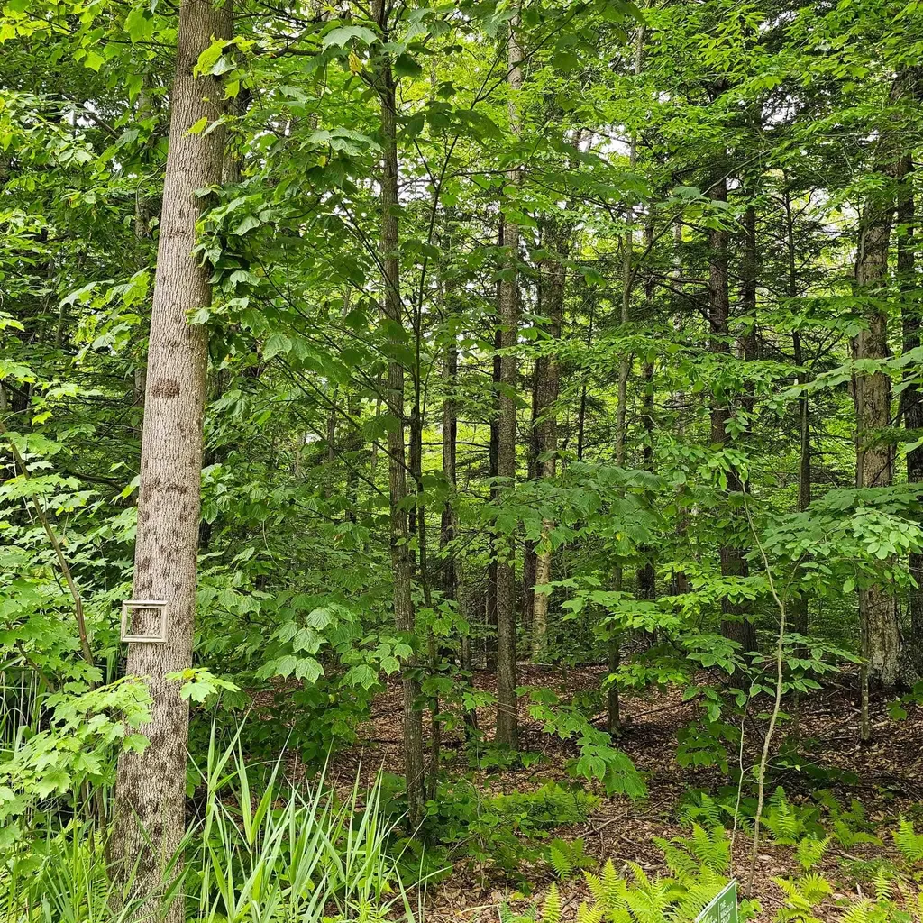 00 Susan Lynn Lane Wardsboro VT 05355