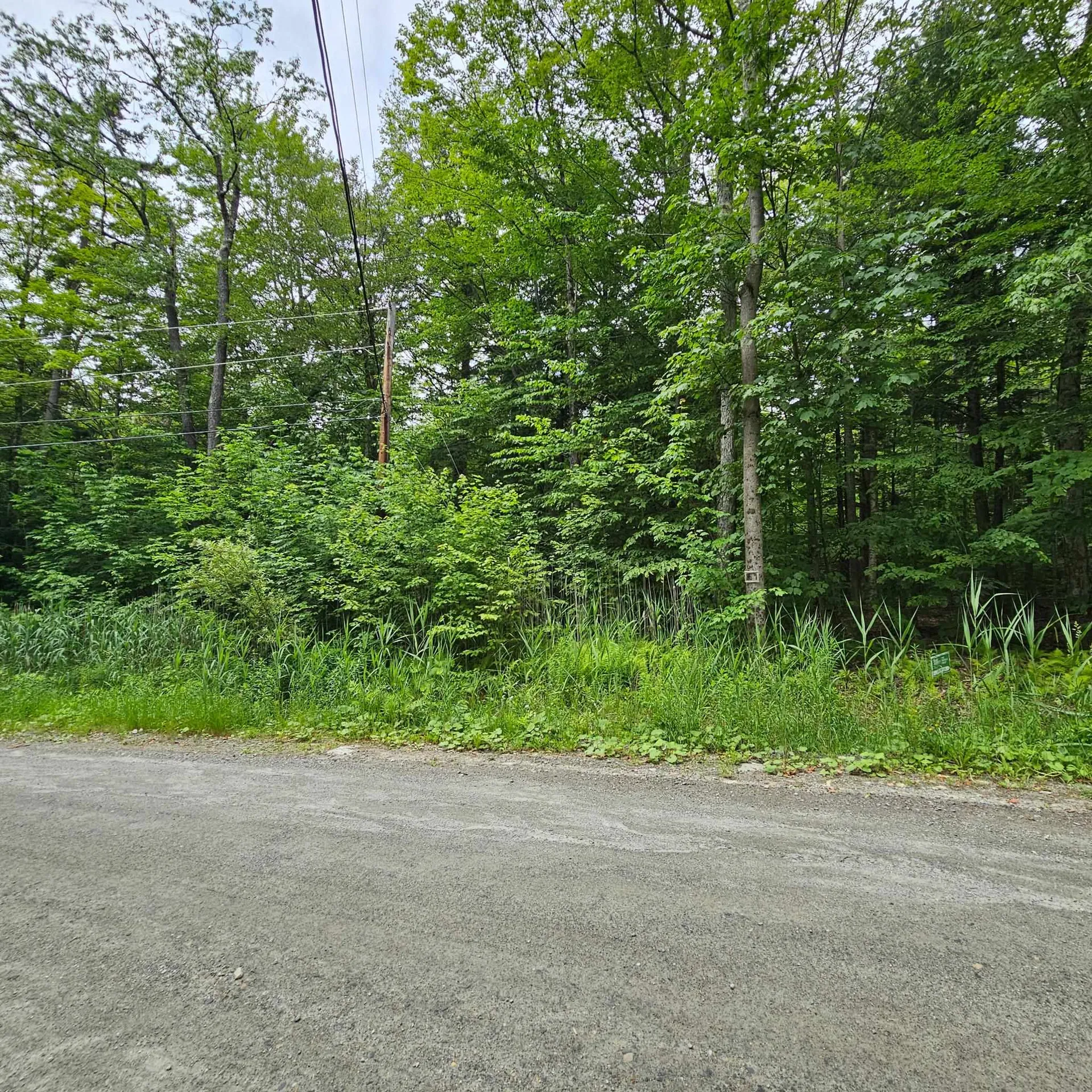 00 Susan Lynn Lane Wardsboro VT 05355