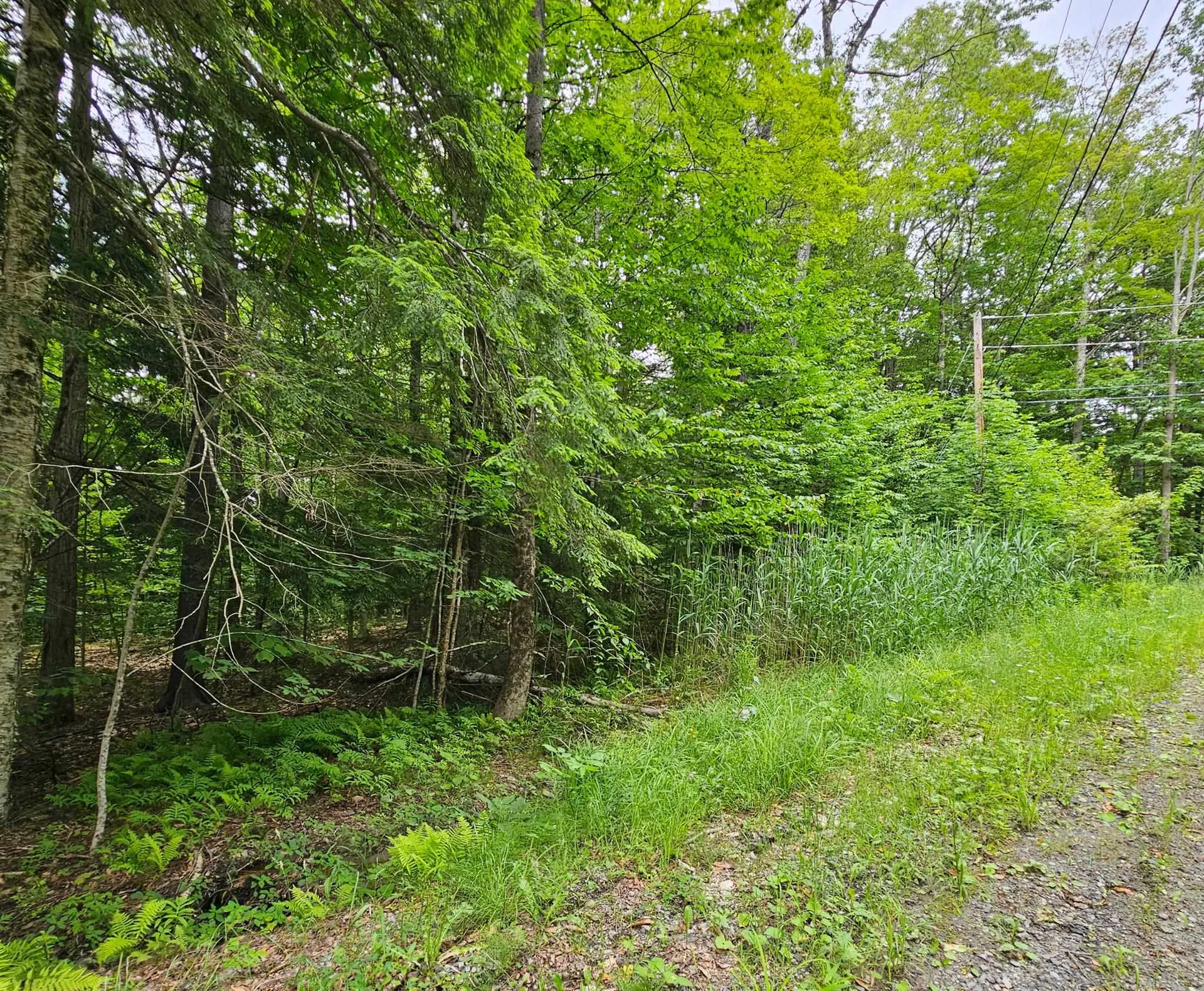 00 Susan Lynn Lane Wardsboro VT 05355