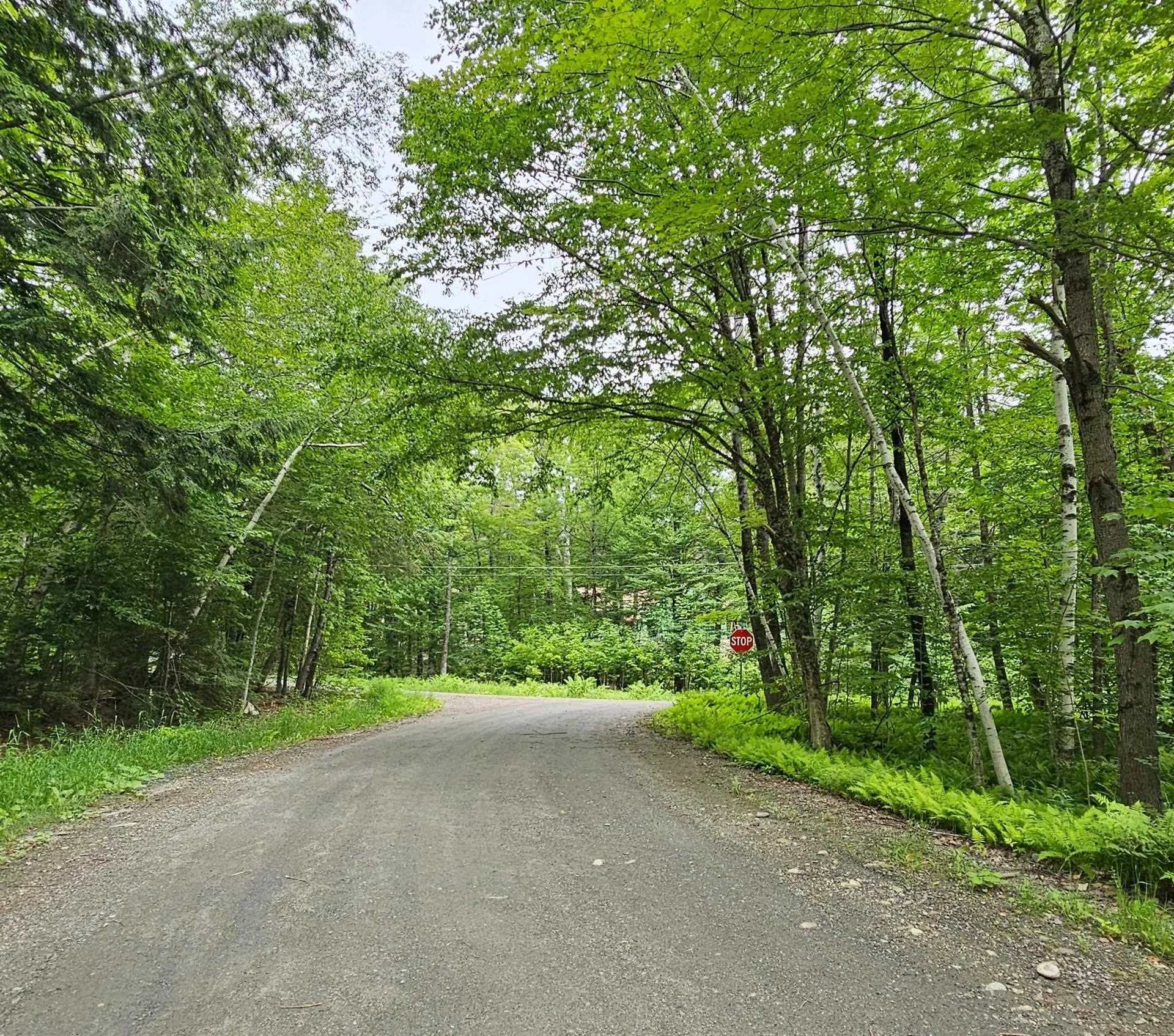 00 Susan Lynn Lane Wardsboro VT 05355