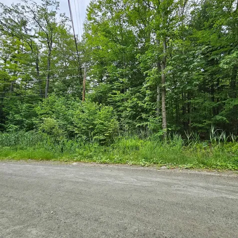 00 Susan Lynn Lane Wardsboro VT 05355