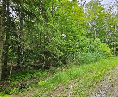 00 Susan Lynn Lane Wardsboro VT 05355