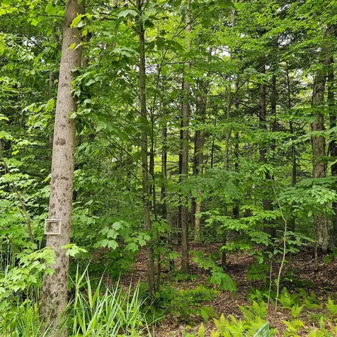 00 Susan Lynn Lane Wardsboro VT 05355