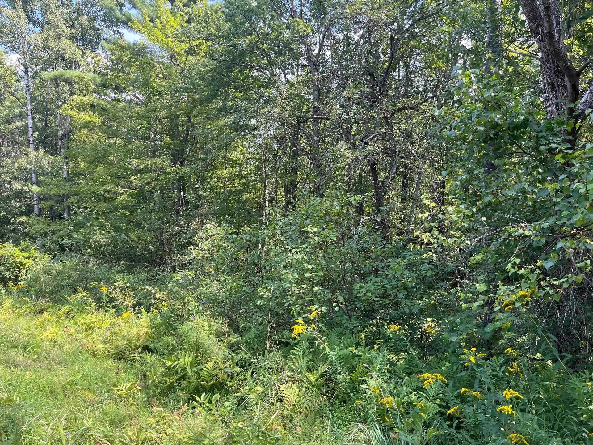 0 Manchester Drive Lebanon NH 03766
