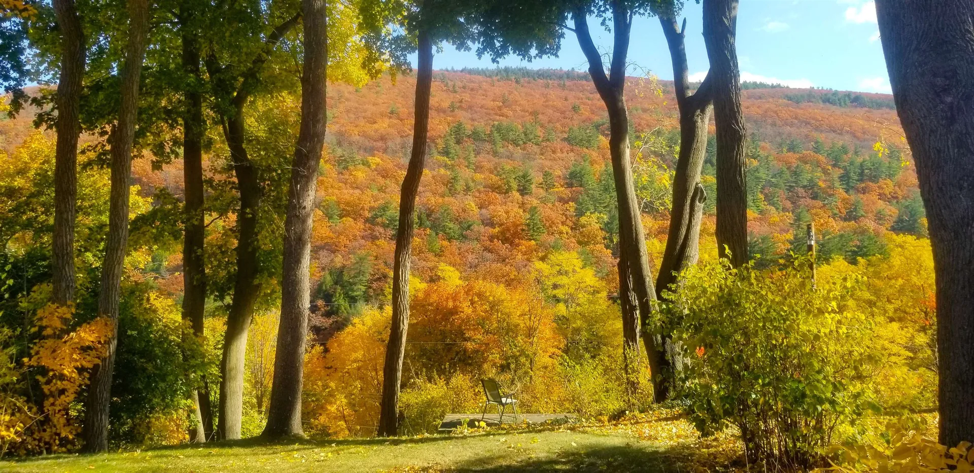 49 Tyler Street Brattleboro VT 05301