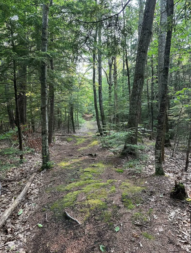 123 Parade Road Barnstead NH 03218