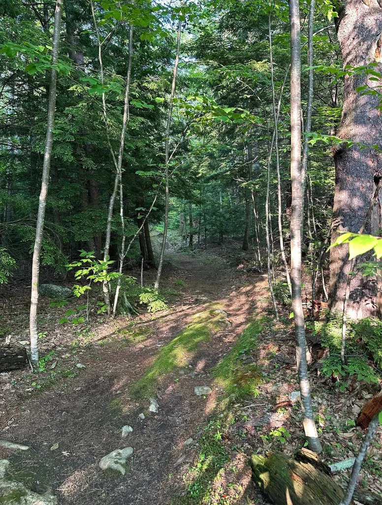 123 Parade Road Barnstead NH 03218