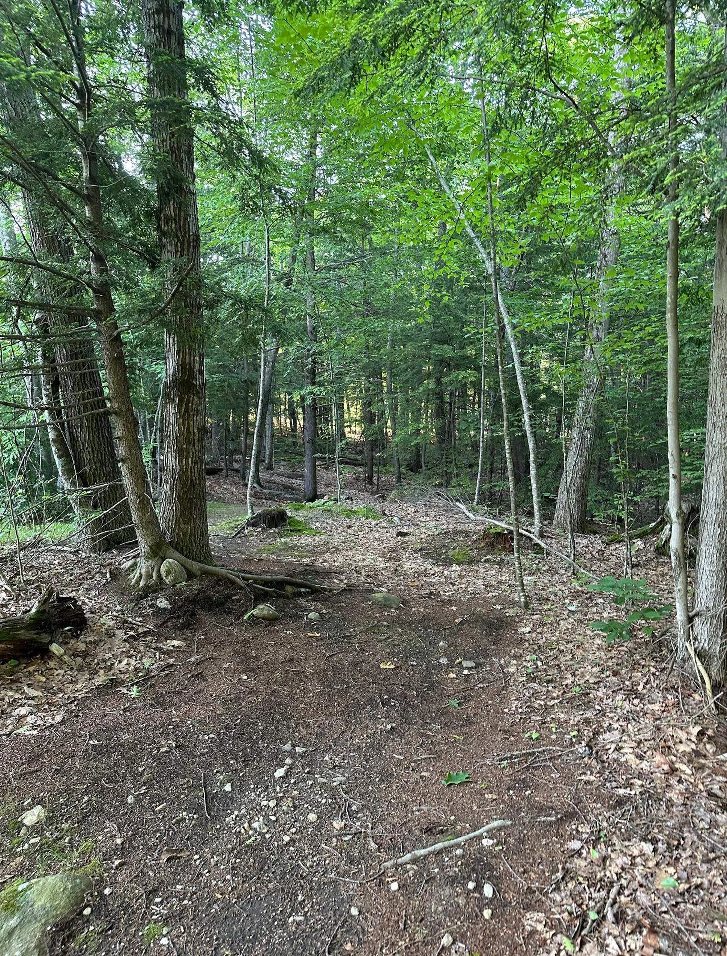 123 Parade Road Barnstead NH 03218