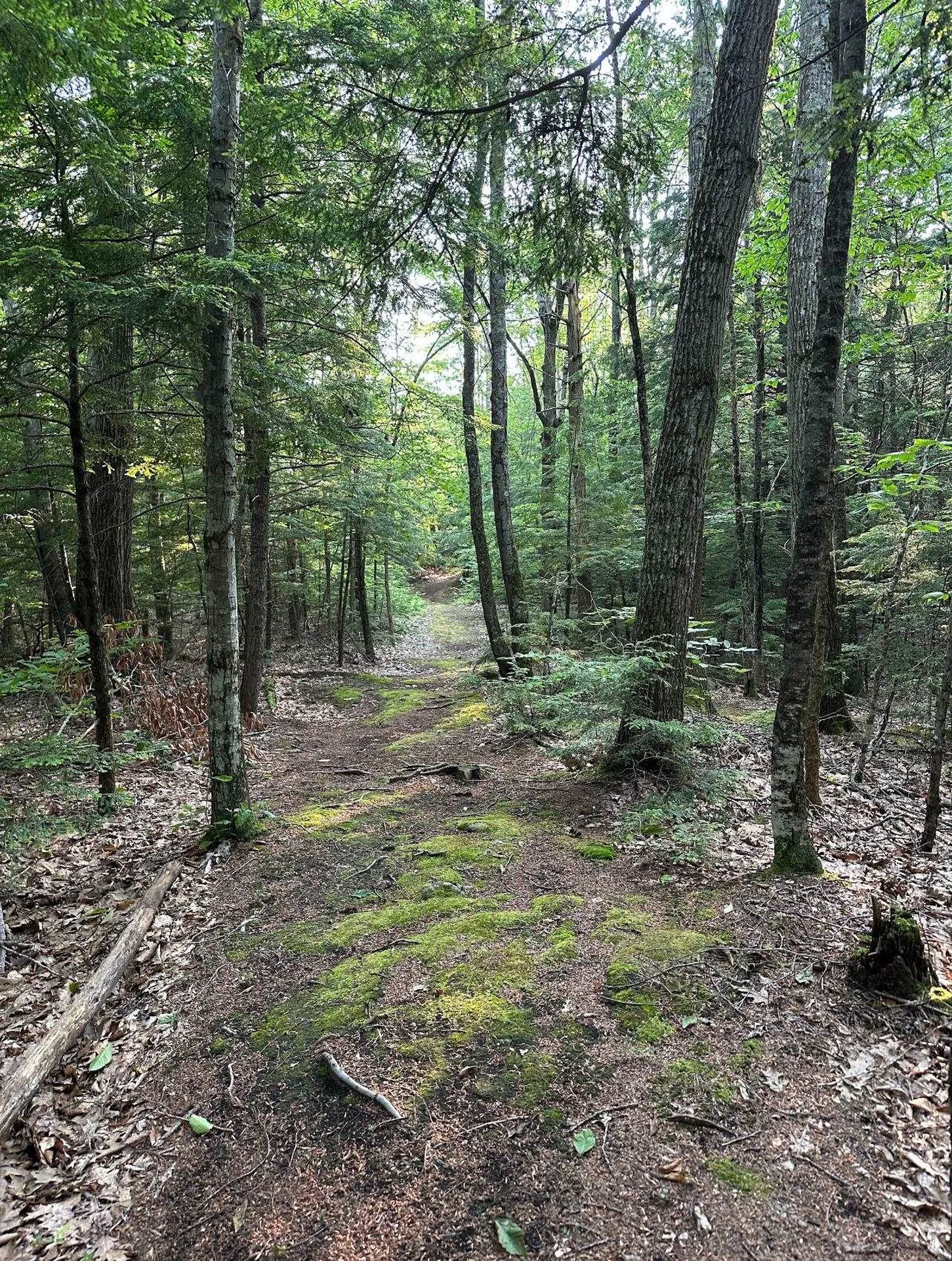 123 Parade Road Barnstead NH 03218