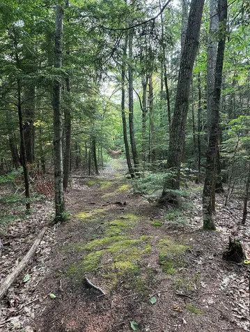 123 Parade Road Barnstead NH 03218