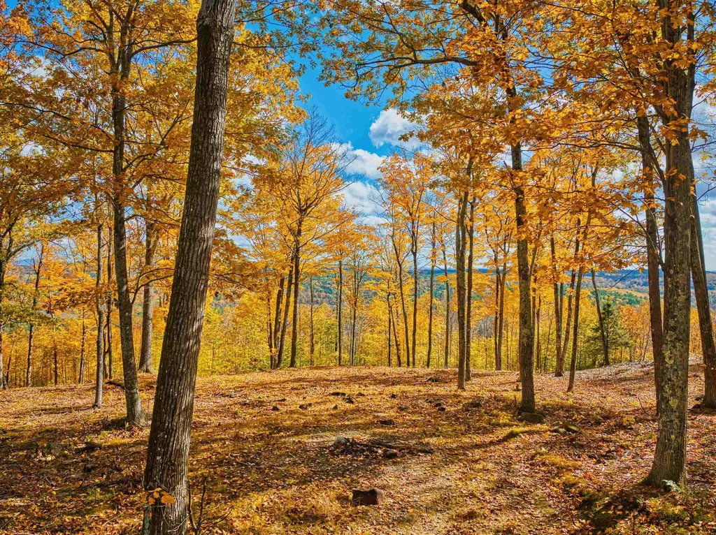 0 Beech Hill Road Andover NH 03216