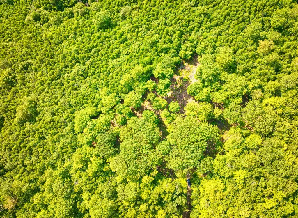 0 Beech Hill Road Andover NH 03216