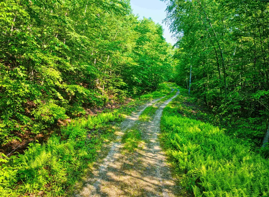 0 Beech Hill Road Andover NH 03216