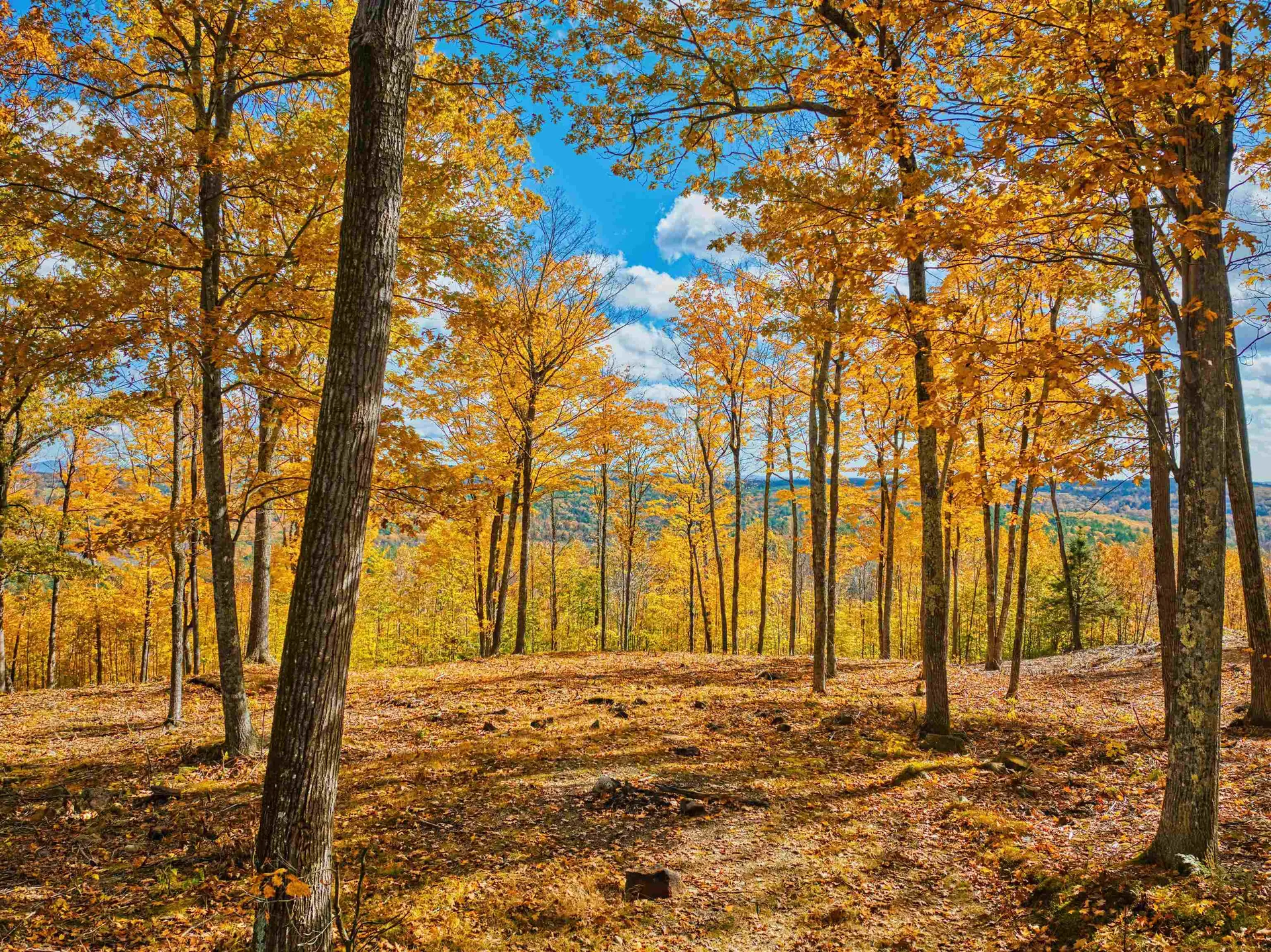 0 Beech Hill Road Andover NH 03216