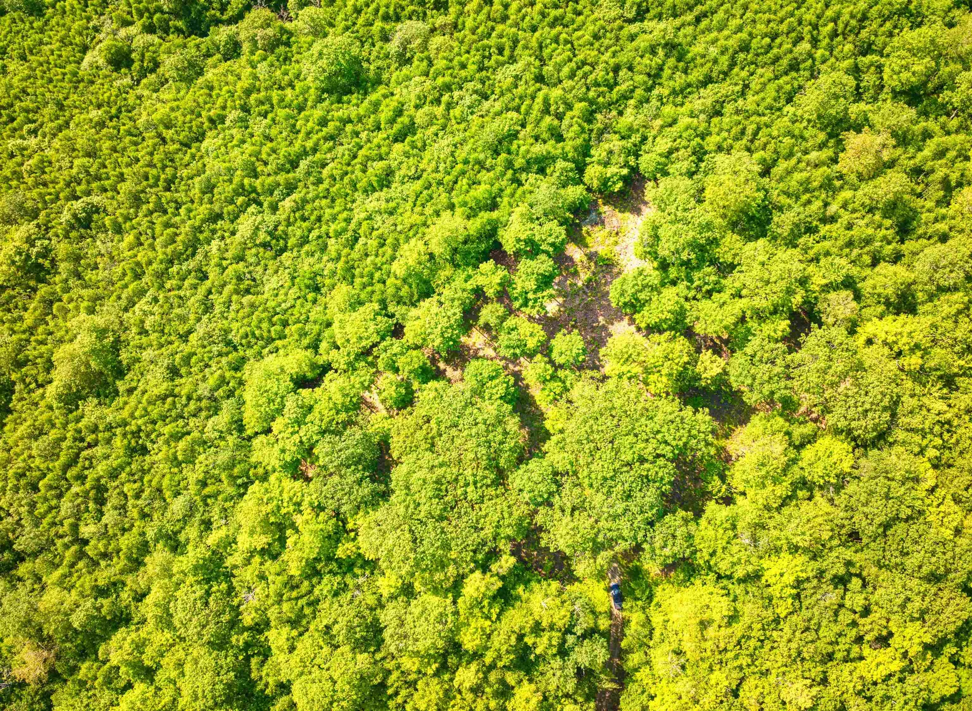 0 Beech Hill Road Andover NH 03216