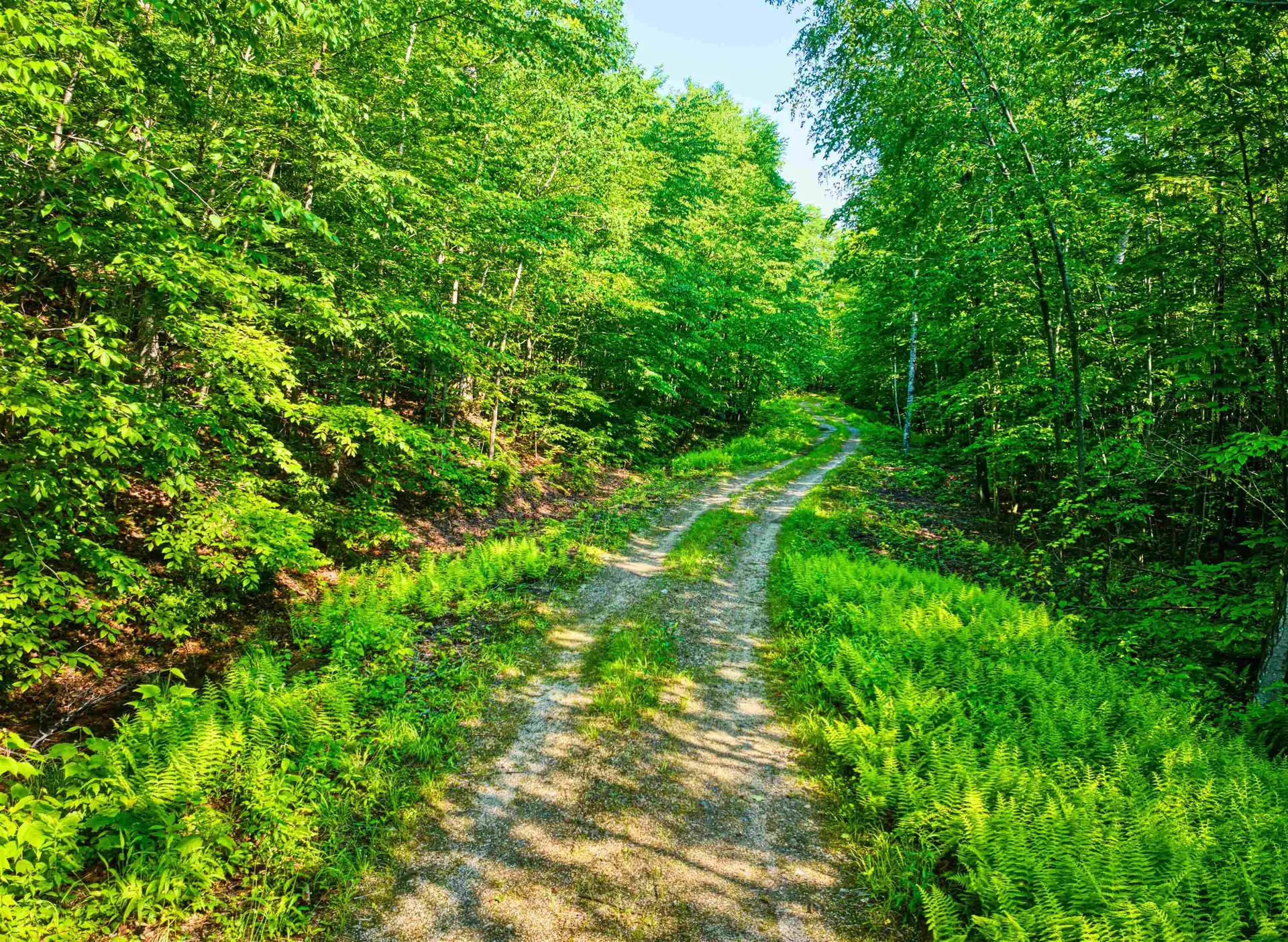 0 Beech Hill Road Andover NH 03216