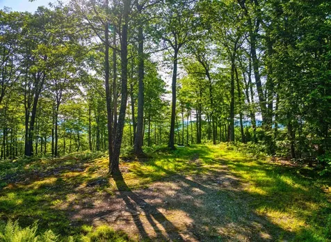 0 Beech Hill Road Andover NH 03216