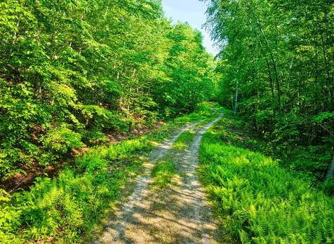 0 Beech Hill Road Andover NH 03216