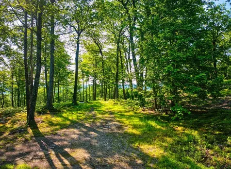 0 Beech Hill Road Andover NH 03216