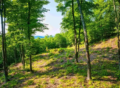 0 Beech Hill Road Andover NH 03216