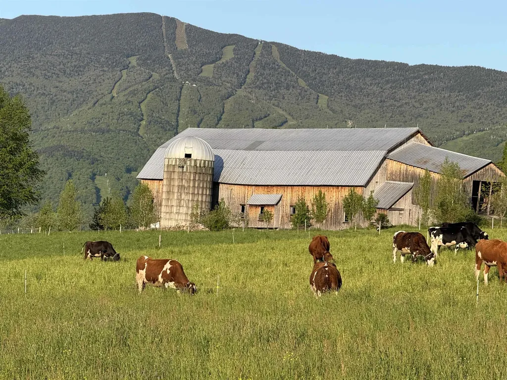 572 Stagecoach Road Fayston VT 05673