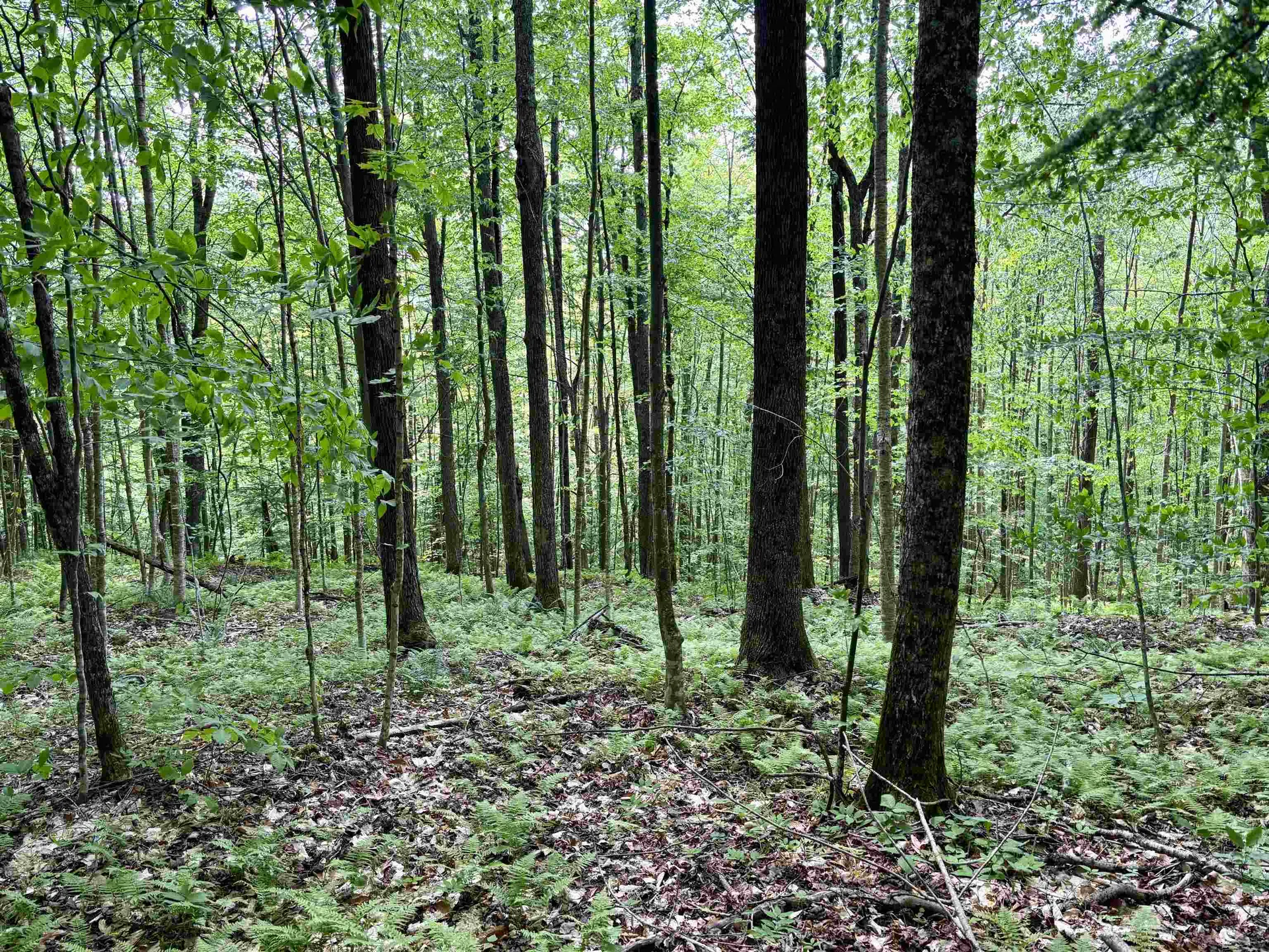 0 North Road Eden VT 05653