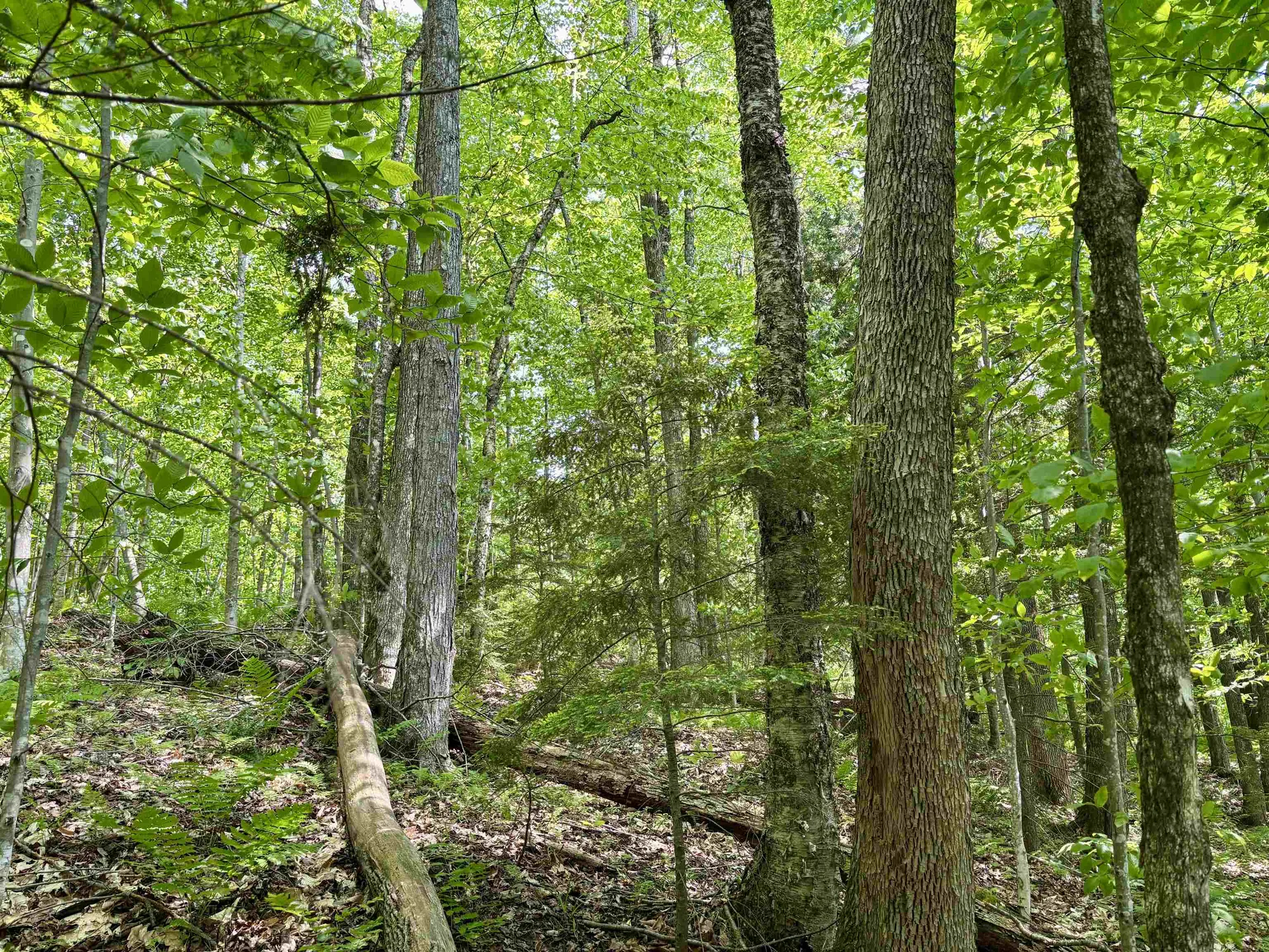 0 North Road Eden VT 05653