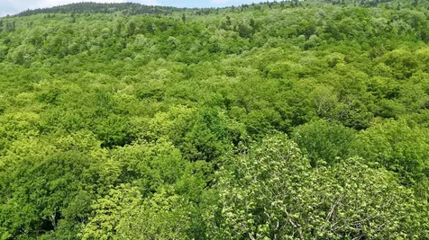 0 North Road Eden VT 05653