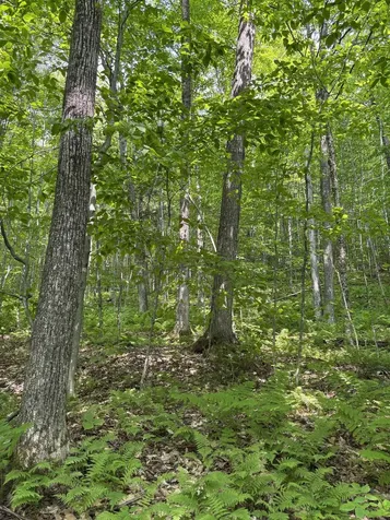 0 North Road Eden VT 05653