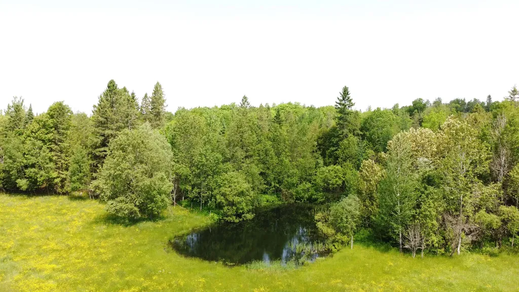 0 Andrews Road Holland VT 05830