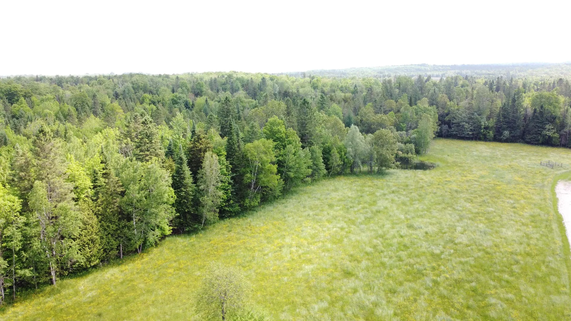 0 Andrews Road Holland VT 05830