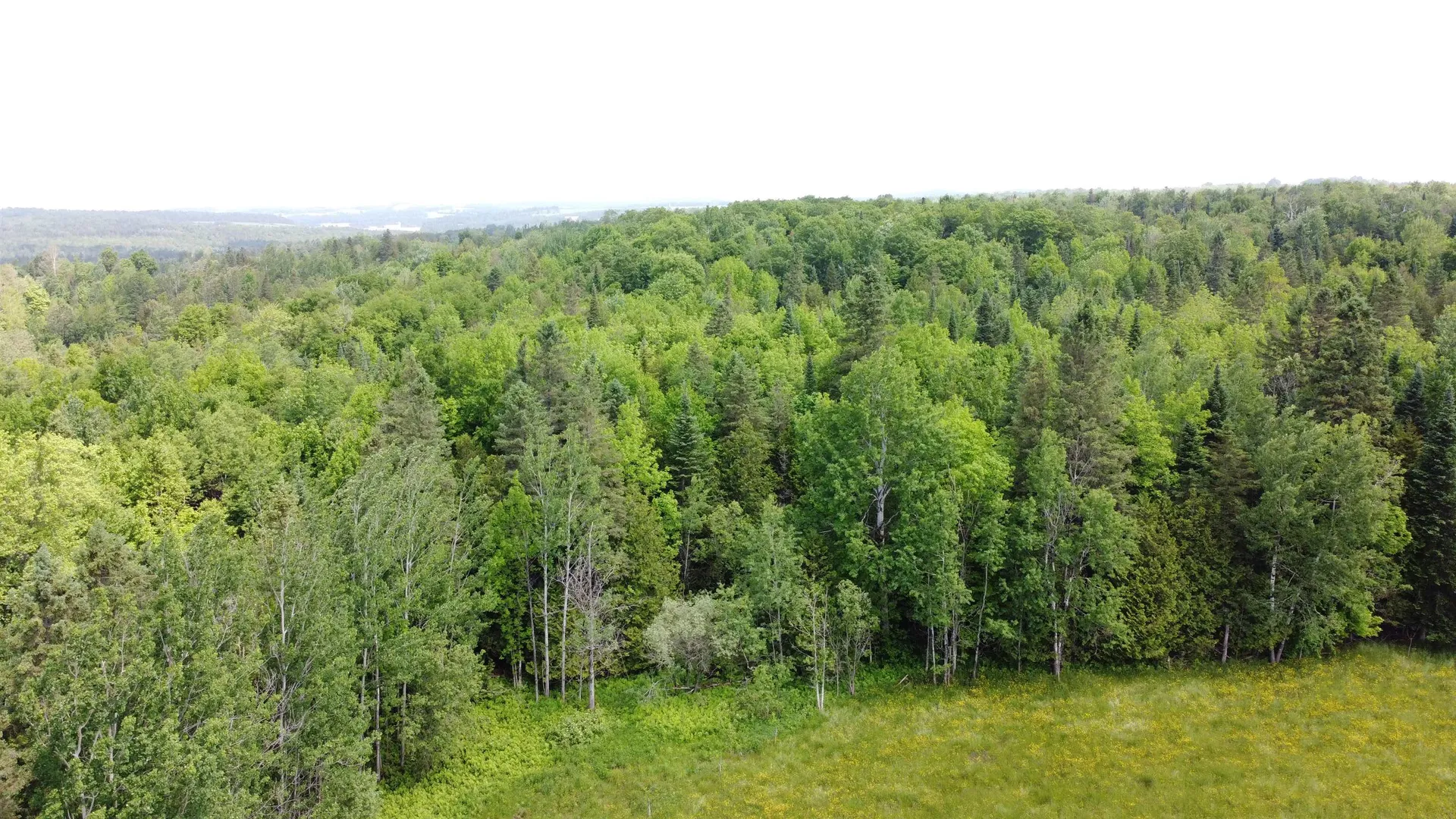 0 Andrews Road Holland VT 05830