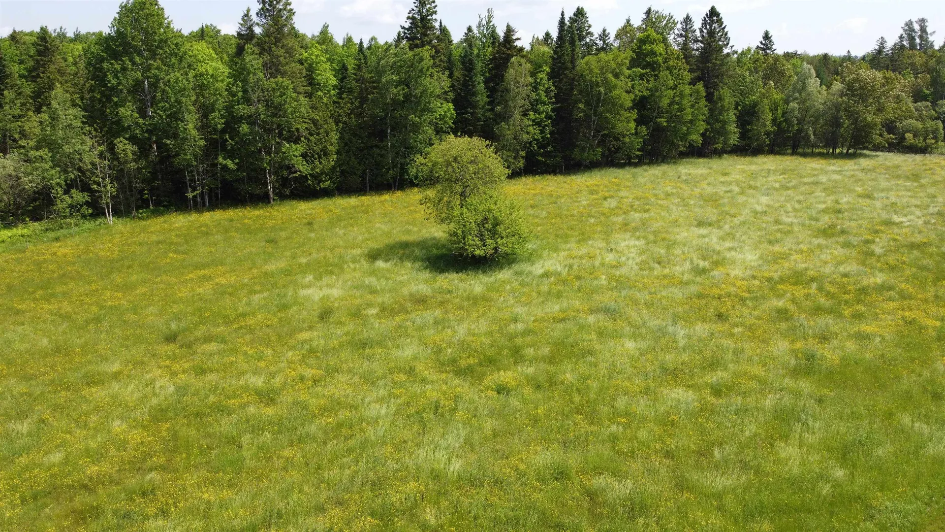 0 Andrews Road Holland VT 05830