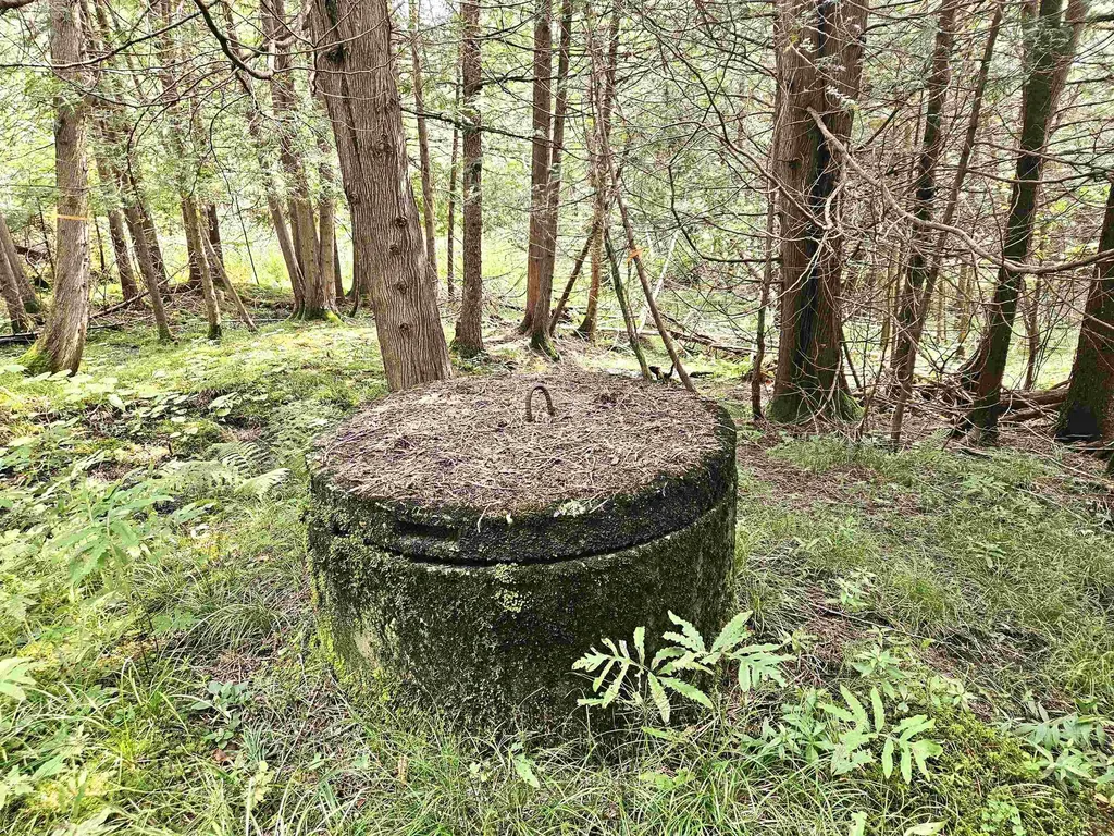 0 Andrews Road Holland VT 05830